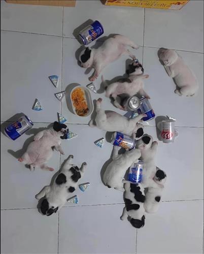 hẹn hò - Thanh nhan-Nam -Tuổi:39 - Đã có gia đình-TP Hồ Chí Minh-Tìm bạn tâm sự