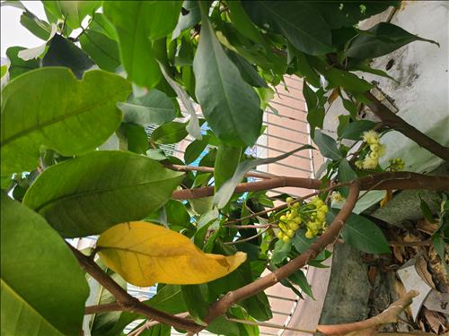 hẹn hò - Thanh nhan-Nam -Tuổi:43 - Đã có gia đình-TP Hồ Chí Minh-Tìm bạn tâm sự