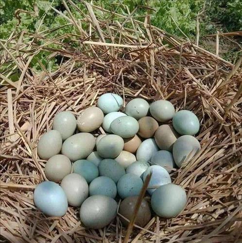 hẹn hò - Thanh-Nam -Tuổi:43 - Đã có gia đình-TP Hồ Chí Minh-Tìm bạn tâm sự