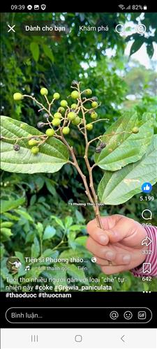 hẹn hò - Thanh-Nam -Tuổi:43 - Độc thân-TP Hồ Chí Minh-Tìm bạn tâm sự