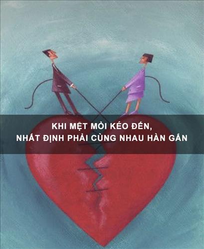 Hoa mẫu đơn