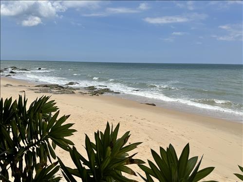 hẹn hò - Minh-Gay -Tuổi:35 - Độc thân-TP Hồ Chí Minh-Người yêu lâu dài