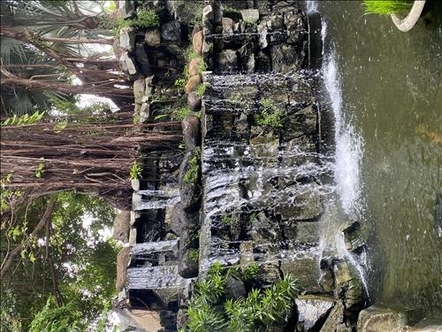 Tính Võ