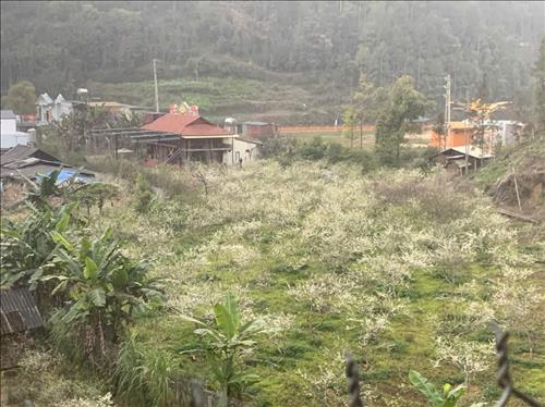 hẹn hò - Đức-Nam -Tuổi:46 - Đã có gia đình-TP Hồ Chí Minh-Tìm bạn tâm sự