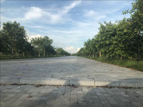 hẹn hò - Hana-Les -Tuổi:35 - Độc thân-TP Hồ Chí Minh-Tìm bạn bè mới
