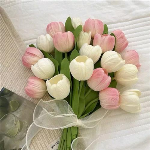 hẹn hò - AN-Lady -Age:35 - Single-TP Hồ Chí Minh-Lover - Best dating website, dating with vietnamese person, finding girlfriend, boyfriend.