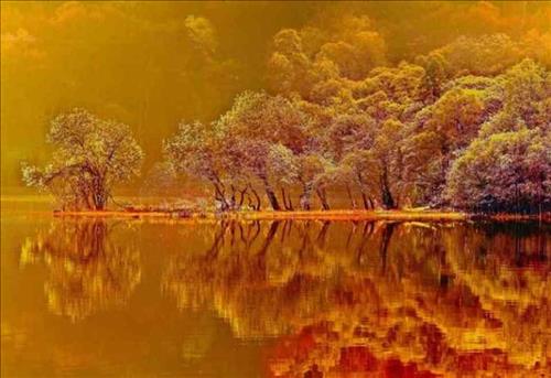 hẹn hò - Mưa Trái Mùa -Male -Age:54 - Single-TP Hồ Chí Minh-Short Term - Best dating website, dating with vietnamese person, finding girlfriend, boyfriend.