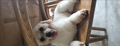 Truyền Thống Nước Mắm