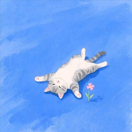 Tìm người ấy