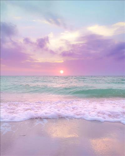 Trang
