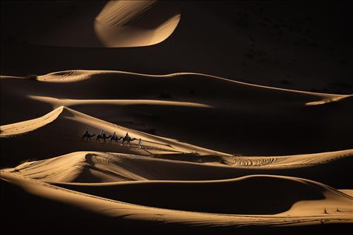 hẹn hò - Lê Cường-Male -Age:48 - Married-Hà Nội-Confidential Friend - Best dating website, dating with vietnamese person, finding girlfriend, boyfriend.