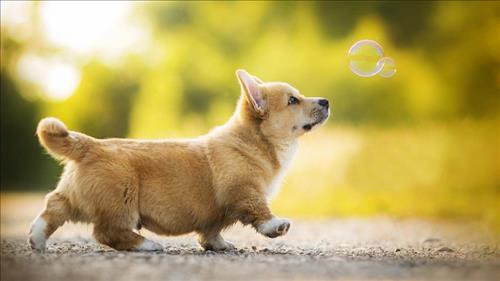 hẹn hò - Minh Hiệp-Nam -Tuổi:35 - Độc thân-Hà Nội-Người yêu lâu dài