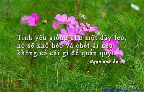 hẹn hò - Vicente Phạm-Nam -Tuổi:43 - Độc thân-TP Hồ Chí Minh-Người yêu lâu dài