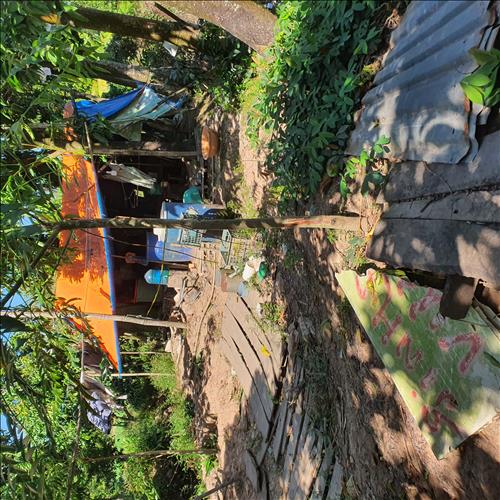 Nỗi buồn không tên