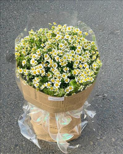hẹn hò - Mộc-Les -Tuổi:45 - Ly dị-TP Hồ Chí Minh-Người yêu lâu dài