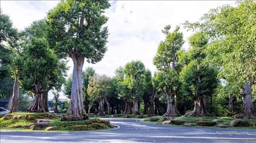 hẹn hò - Ken Nguyên-Nam -Tuổi:37 - Đang có người yêu-TP Hồ Chí Minh-Người yêu ngắn hạn