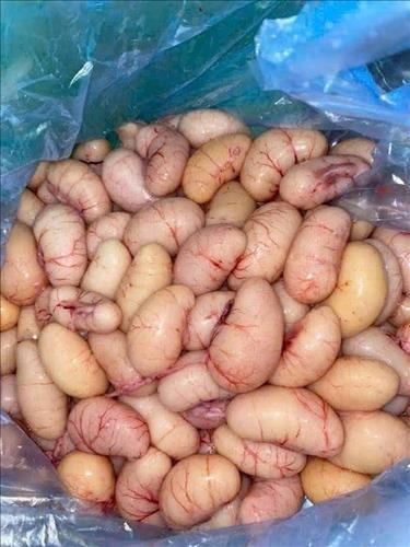hẹn hò - Ngộ Đời-Nam -Tuổi:69 - Độc thân-TP Hồ Chí Minh-Tìm bạn bè mới