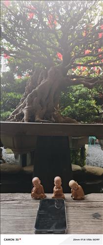 hẹn hò - NICKY'S-Nam -Tuổi:33 - Độc thân-TP Hồ Chí Minh-Tìm bạn tâm sự
