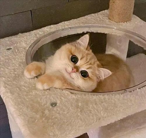 hẹn hò - Thiên Yết -Les -Tuổi:39 - Độc thân-TP Hồ Chí Minh-Người yêu lâu dài