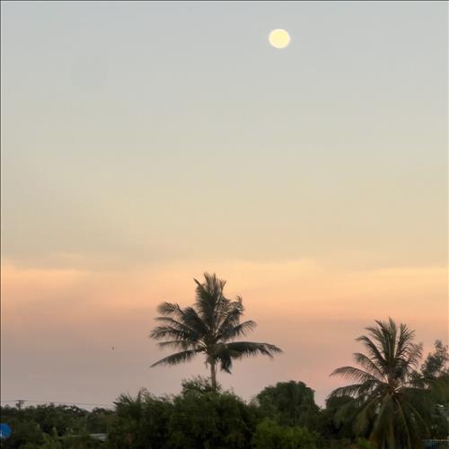 hẹn hò - Monday-Les -Tuổi:36 - Độc thân-TP Hồ Chí Minh-Người yêu lâu dài
