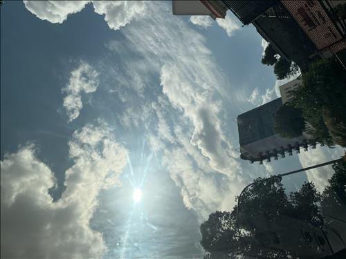The green sky