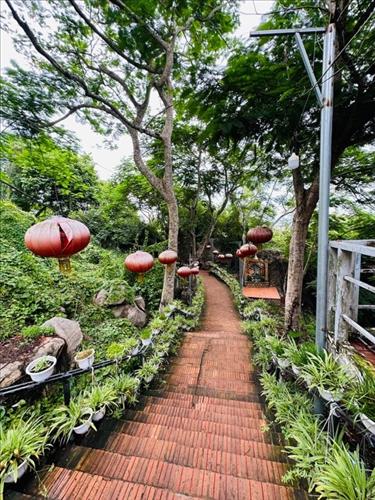 hẹn hò - Nhân-Nam -Tuổi:38 - Độc thân--Tìm bạn tâm sự