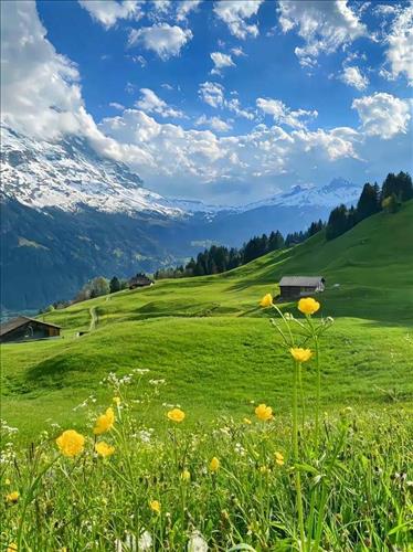 hẹn hò - Trung Phan-Nam -Tuổi:28 - Độc thân-TP Hồ Chí Minh-Người yêu lâu dài