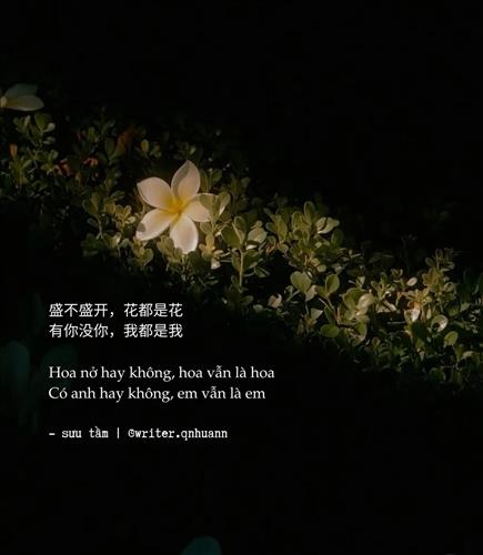 Hải Băng