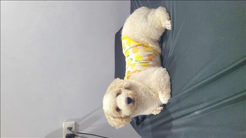 hẹn hò - HIHI-Male -Age:29 - Single-TP Hồ Chí Minh-Lover - Best dating website, dating with vietnamese person, finding girlfriend, boyfriend.