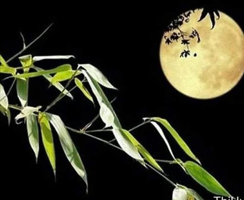 hẹn hò - Minh Chiến-Nam -Tuổi:44 - Độc thân-TP Hồ Chí Minh-Người yêu lâu dài