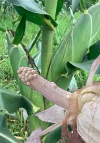 hẹn hò - Hihihi-Nam -Tuổi:33 - Độc thân-TP Hồ Chí Minh-Tìm bạn tâm sự