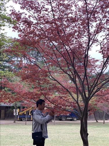 hẹn hò - 武琼英.love zan ok à-Male -Age:30 - Single-Hà Nội-Friend - Best dating website, dating with vietnamese person, finding girlfriend, boyfriend.