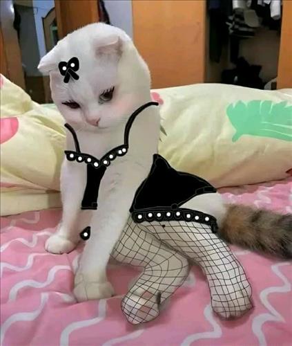 hẹn hò - Tthao aww-Lady -Age:20 - Single-Trà Vinh-Lover - Best dating website, dating with vietnamese person, finding girlfriend, boyfriend.