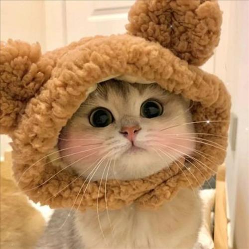 hẹn hò - Bảo Châu -Nữ -Tuổi:25 - Độc thân-TP Hồ Chí Minh-Tìm bạn bè mới