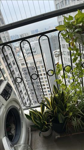 hẹn hò - Zeroluck-Nam -Tuổi:31 - Độc thân-Bình Định-Người yêu lâu dài