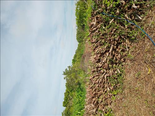 hẹn hò - AN Lê-Nam -Tuổi:28 - Độc thân-TP Hồ Chí Minh-Người yêu lâu dài