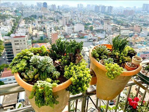 hẹn hò - minh quân -Nam -Tuổi:34 - Độc thân-TP Hồ Chí Minh-Người yêu lâu dài