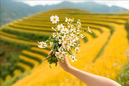 hẹn hò - Âm thầm bên em-Les -Tuổi:45 - Độc thân-TP Hồ Chí Minh-Người yêu lâu dài