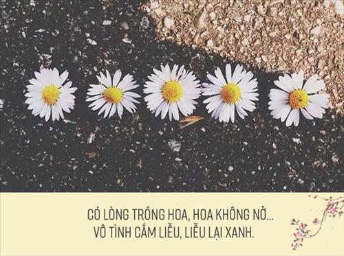 hẹn hò - Lê Hùng-Nam -Tuổi:44 - Độc thân-Hà Nội-Người yêu lâu dài