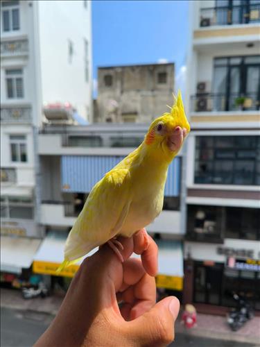 hẹn hò - Công-Male -Age:40 - Single-TP Hồ Chí Minh-Lover - Best dating website, dating with vietnamese person, finding girlfriend, boyfriend.