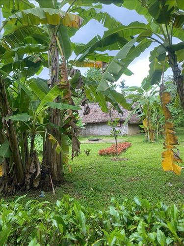hẹn hò - Thu-Les -Tuổi:35 - Độc thân-Hà Nội-Người yêu lâu dài
