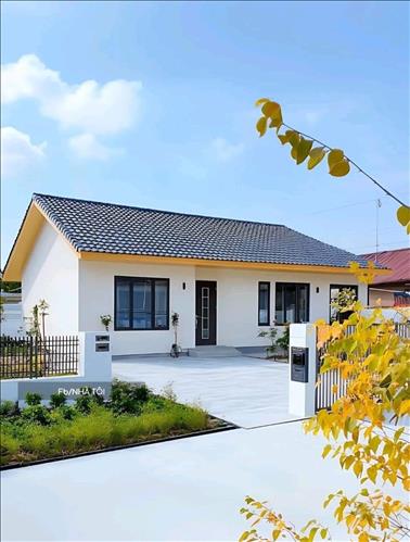 Trịnh T