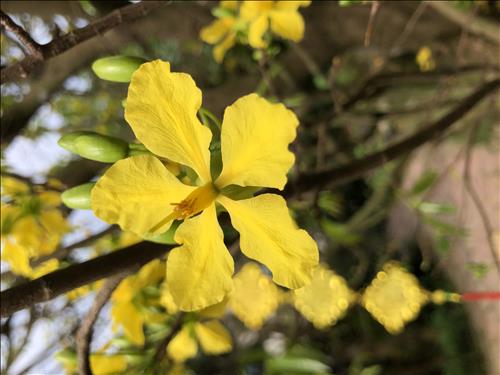 hẹn hò - Dũng-Male -Age:37 - Married-TP Hồ Chí Minh-Confidential Friend - Best dating website, dating with vietnamese person, finding girlfriend, boyfriend.