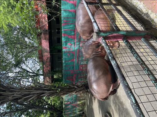 hẹn hò - Nam Hoang-Gay -Tuổi:33 - Đã có gia đình-Long An-Tìm bạn tâm sự