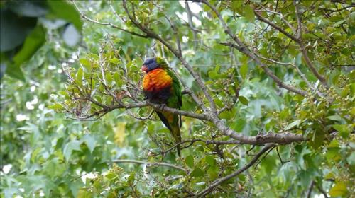 hẹn hò - Nhan Ha-Les -Tuổi:42 - Độc thân-TP Hồ Chí Minh-Người yêu lâu dài