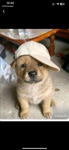 hẹn hò - Giang Le-Male -Age:18 - Single-Đà Nẵng-Friend - Best dating website, dating with vietnamese person, finding girlfriend, boyfriend.