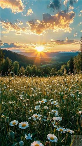 hẹn hò - Daisy-Lesbian -Age:28 - Single-TP Hồ Chí Minh-Friend - Best dating website, dating with vietnamese person, finding girlfriend, boyfriend.