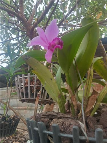 hẹn hò - Tan Ngoc-Male -Age:18 - Single--Lover - Best dating website, dating with vietnamese person, finding girlfriend, boyfriend.