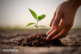 Người yêu lâu dài