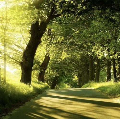 hẹn hò - Thuận Theo Tự Nhiên -Nam -Tuổi:49 - Ở góa-TP Hồ Chí Minh-Tìm bạn tâm sự